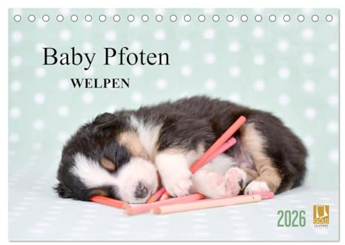 Baby Pfoten (Tischkalender 2026 DIN A5 quer), CALVENDO Monatskalender: Welpen in ihren ersten Lebenswochen liebevoll in Szene gesetzt (CALVENDO Tiere)