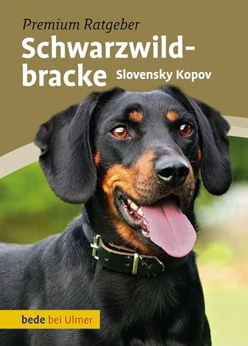Schwarzwildbracke: Slovensky Kopov (Bede Premium Ratgeber)