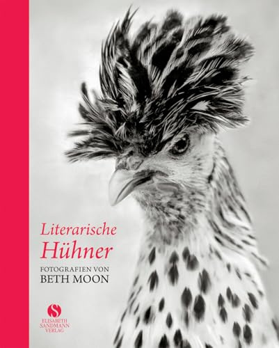 Literarische Hühner: Fotografien von Beth Moon
