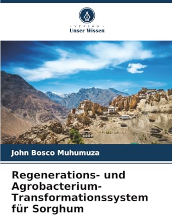 Regenerations- und Agrobacterium-Transformationssystem für Sorghum: DE