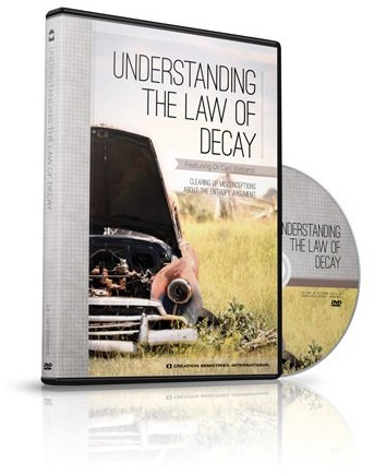 Understanding the Law of Decay