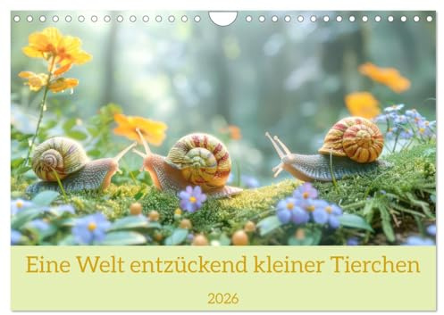 Eine Welt entzückend kleiner Tierchen (Wandkalender 2026 DIN A4 quer), CALVENDO Monatskalender: Kleine Tiere in der Natur (CALVENDO Tiere)