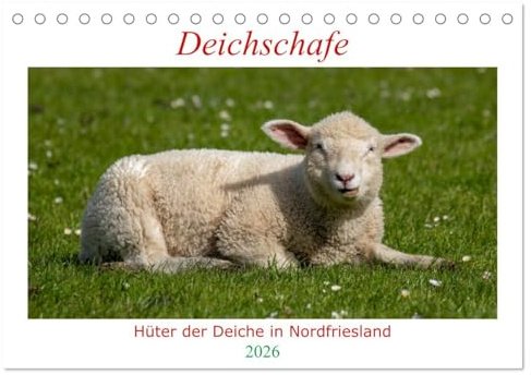Deichschafe - Hüter der Deiche in Nordfriesland (Tischkalender 2026 DIN A5 quer), CALVENDO Monatskalender: Schafe das ganze Jahr erleben (CALVENDO Tiere)