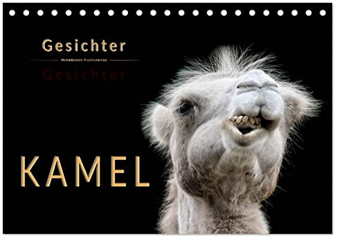 Kamel Gesichter (Tischkalender 2026 DIN A5 quer), CALVENDO Monatskalender: Eindrucksvolle Bilder der Überlebenskünstler. (CALVENDO Tiere)