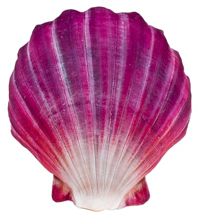 Gaby Kissen in Form von Capasanta rot