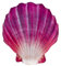 Gaby Kissen in Form von Capasanta rot