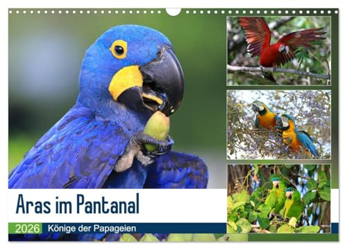 Aras im Pantanal (Wandkalender 2026 DIN A3 quer), CALVENDO Monatskalender: Aras in ihrem natürlichen Lebensraum (CALVENDO Tiere)