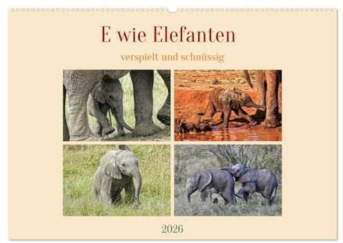 E wie Elefanten - verspielt und schnüssig (Wandkalender 2026 DIN A2 quer), CALVENDO Monatskalender: Kinderstube in der freien Wildbahn (CALVENDO Tiere)