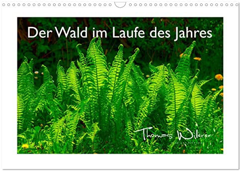 Der Wald im Laufe des Jahres (Wandkalender 2026 DIN A3 quer), CALVENDO Monatskalender: 12 Wunderbare Aufnahmen zeigen den Naturraum Wald in allen ... von Thomas Willerer. (CALVENDO Natur)