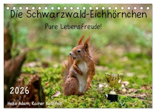 Die Schwarzwald-Eichhörnchen (Tischkalender 2026 DIN A5 quer), CALVENDO Monatskalender: Im Eichhörnchenwald von Königsfeld (CALVENDO Tiere)