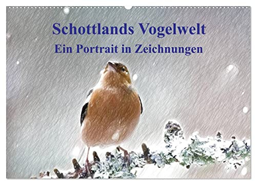 Schottlands Vogelwelt - Ein Porträt in Zeichnungen (Wandkalender 2026 DIN A2 quer), CALVENDO Monatskalender: Dieser Kalender ist ein Streifzug durch ... in farbigen Zeichnungen (CALVENDO Natur)