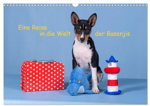 Eine Reise in die Welt der Basenjis (Wandkalender 2026 DIN A3 quer), CALVENDO Monatskalender