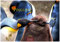 Pinguine 2024 S 24x35cm