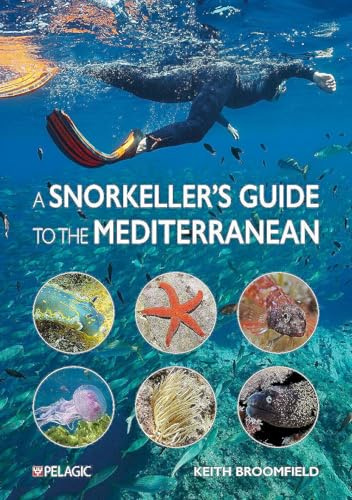 A Snorkeller’s Guide to the Mediterranean: A photographic ID guide to the most commonly encountered marine species