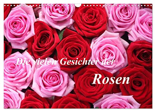 Die vielen Gesichter der Rosen (Wandkalender 2025 DIN A3 quer), CALVENDO Monatskalender