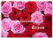 Die vielen Gesichter der Rosen (Wandkalender 2025 DIN A3 quer), CALVENDO Monatskalender