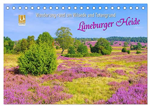 Lüneburger Heide - Wanderung rund um Wilsede und Totengrund (Tischkalender 2026 DIN A5 quer), CALVENDO Monatskalender: Die Heide blüht - ein Landschaftstraum in lila Farben (CALVENDO Orte)