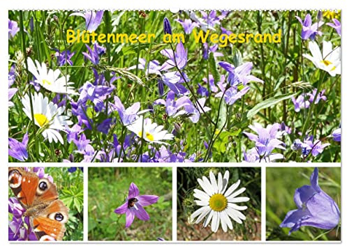 Blütenmeer am Wegesrand (Wandkalender 2026 DIN A2 quer), CALVENDO Monatskalender: Gerade jetzt ist wiederentdeckt worden, wie wichtig die Wiesen und ... auch für uns Menschen sind. (CALVENDO Natur)
