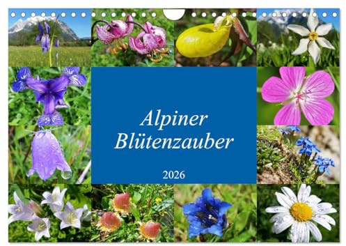 Alpiner Blütenzauber (Wandkalender 2026 DIN A4 quer), CALVENDO Monatskalender: Die Vielfalt und Schönheit der alpenländischen Blütenpracht (CALVENDO Natur)