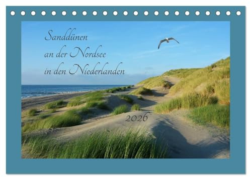 Sanddünen an der Nordsee in den Niederlanden (Tischkalender 2026 DIN A5 quer), CALVENDO Monatskalender: Sanddünen an der Nordseeküste in den Niederlanden (CALVENDO Natur)