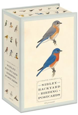 Sibley Backyard Birding Postcards: 100 Postcards (Sibley Birds)