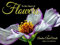 Flowers 2024 Calendar
