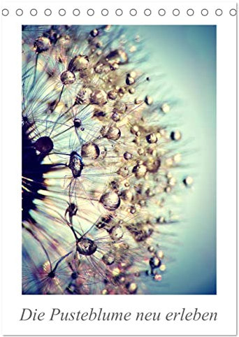 Die Pusteblume neu erleben (Tischkalender 2025 DIN A5 hoch), CALVENDO Monatskalender