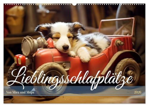 Lieblingsschlafplätze (Wandkalender 2026 DIN A2 quer), CALVENDO Monatskalender: Schlaf Kindchen, schlaf! (CALVENDO Tiere)