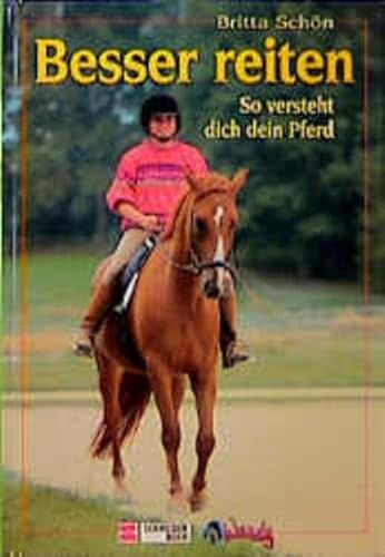 Besser reiten: So versteht dich dein Pferd