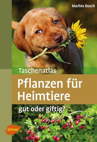 Pflanzen für Heimtiere: Gut oder giftig? (Taschenatlanten)