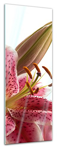 Glasbild - Lilie - 40x120 cm - Deko Glas - Wandbild aus Glas - Bild auf Glas - Moderne Glasbilder - Glasfoto - Echtglas - kein Acryl - Handmade
