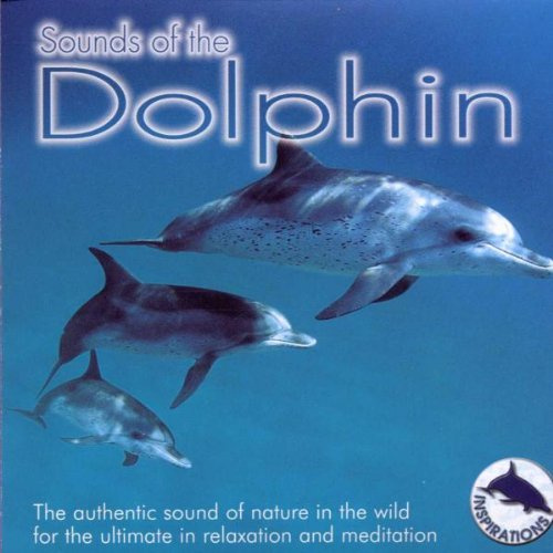 Sounds of the Dolphin