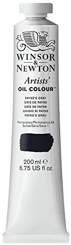 Winsor & Newton Artists - Tubo óleo, 200 ml, color gris de Payne
