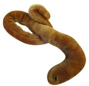 Giant Microbes - Ebola (Ebola Virus) Educational Plush Toy by GIANTmicrobes [Spielzeug]