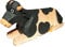 Lotte Sievers Hahn 1251 Ochse schwarz liegend
