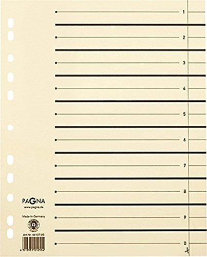 Pagna 44108-09 PAGNA Maxisparpack Trennblätter 300x245x27 chamois 230g/qm, Inh. 1.000