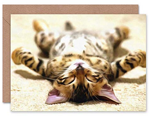 Wee Blue Coo CARD GREETING GIFT PHOTO PAINTING SUPINE KITTEN STRETCHED OUT CUTE