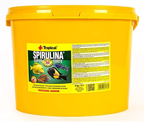 Tropical Super Spirulina Forte Flockenfutter mit 36% Spirulina (Platensis) Anteil, 1er Pack (1 x 11 l)