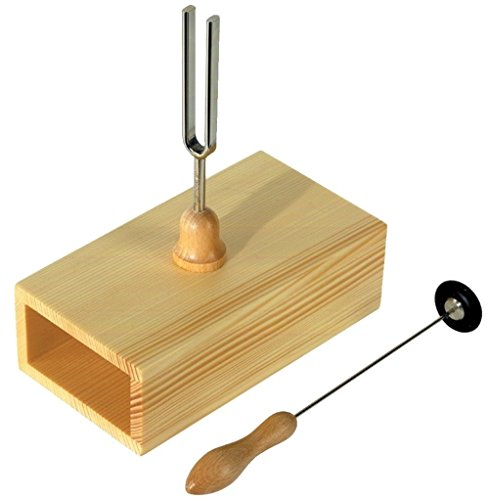 Wittner Stimmgabel Resonanzkasten 440Hz mit Schlegel