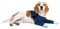 MPS Medical Pet Shirt - TAZ2, Doppelte vordere Beinmanschette für Hunde, M