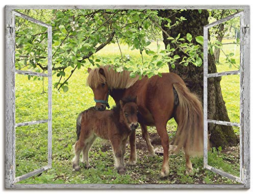 ARTLAND Wanddeko Leinwand Bilder Wandbild 80x60 cm Fensterblick Fenster Pferd Pony Natur Wiese Landhaus Baum Ausblick S8HN