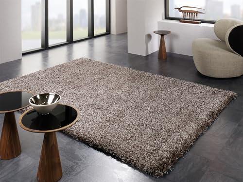 Mein Teppichmarkt Teppichträume werden wahr! Breeze Shaggy Hochflor Langflor Teppich in braun, Größe: 240x340 cm