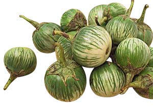 Thai-Aubergine -Solanum virginianum- 100 Samen