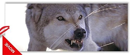 3D Lesezeichen Wolf 15x5cm Tiere Wölfe Wackelbild Wackelkarte Buchzeichen Bookmark Bücher Buch