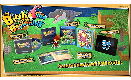 Birthdays the Beginning: Limited Edition - PlayStation 4