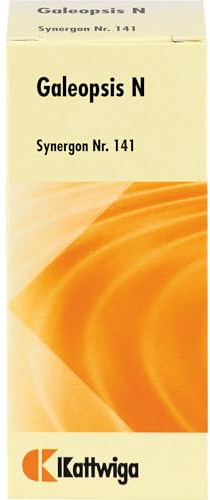 Synergon Komplex 141 Galeopsis N Tropfen, 20 ml Lösung