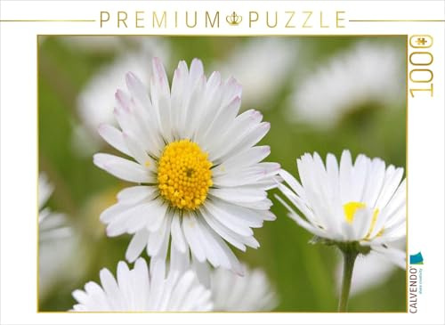 CALVENDO Puzzle Gänseblümchen | 1000 Teile Lege-Größe 64 x 48 cm Foto-Puzzle für glückliche Stunden