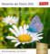 Momente des Glücks Postkartenkalender 2026 - Wochenkalender mit Zitaten, mit 53 Postkarten: Positive Stimmung und Zufriedenheit im Postkartenformat. ... und schönen Fotos zum Sammeln und Verschicken