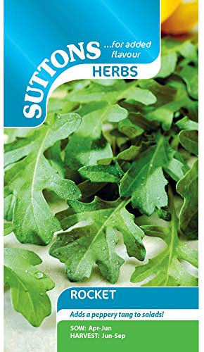 Suttons Rocket Seeds Vegetable Seeds, Approx. 350 Seeds per Pack, Grow Your own Salad Rocket Plants from Seed, Ideal for Containers, Beds and Borders, Greenhouses