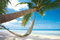 1art1 Strände Traumstrand Mit Palme Und Hängematte Selbstklebende Fototapete Poster-Tapete 180x120 cm